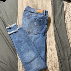 Express ankle jean